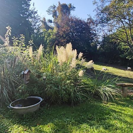 Au Pre De Mukky Villa Andenne Exteriör bild