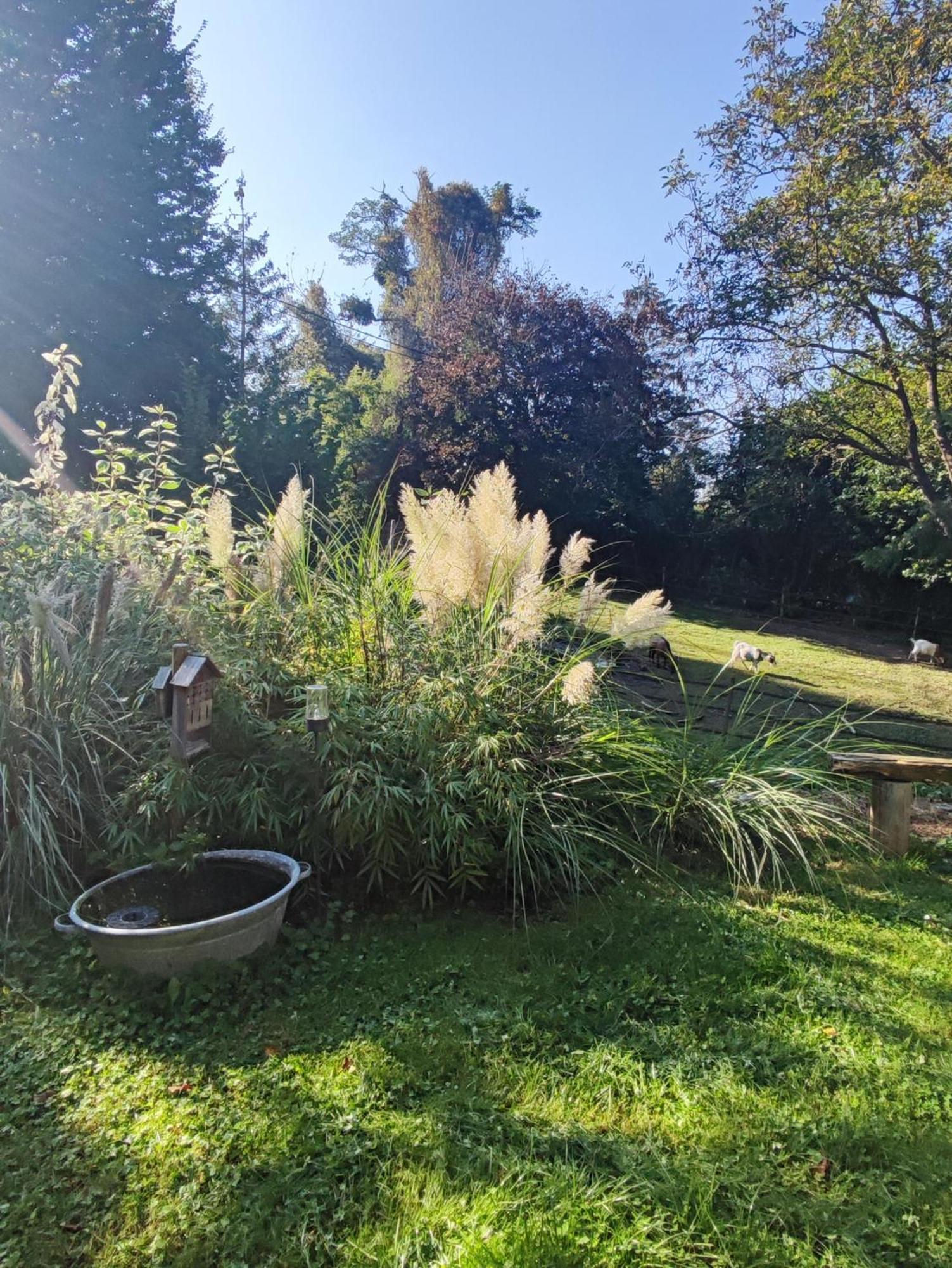 Au Pre De Mukky Villa Andenne Exteriör bild